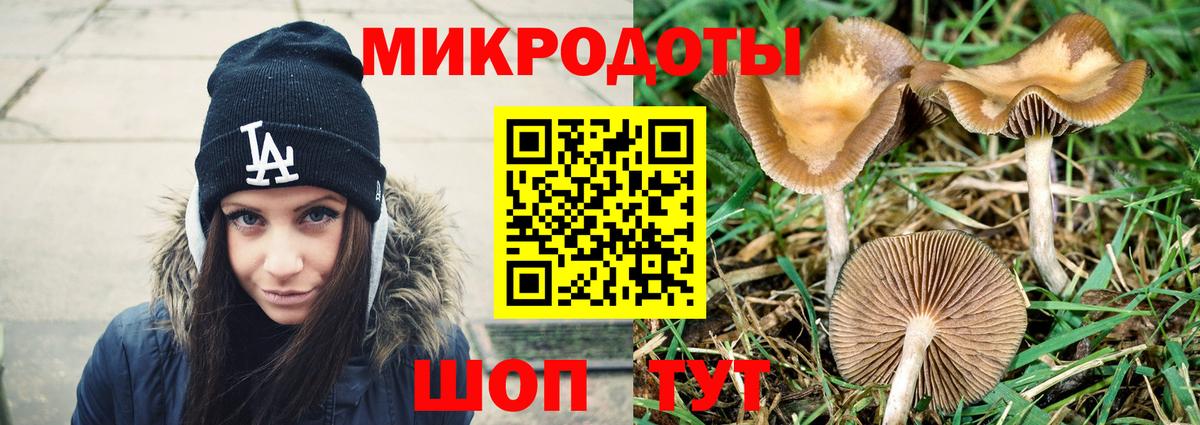Псилоцибиновые грибы прущие грибы Пугачёв