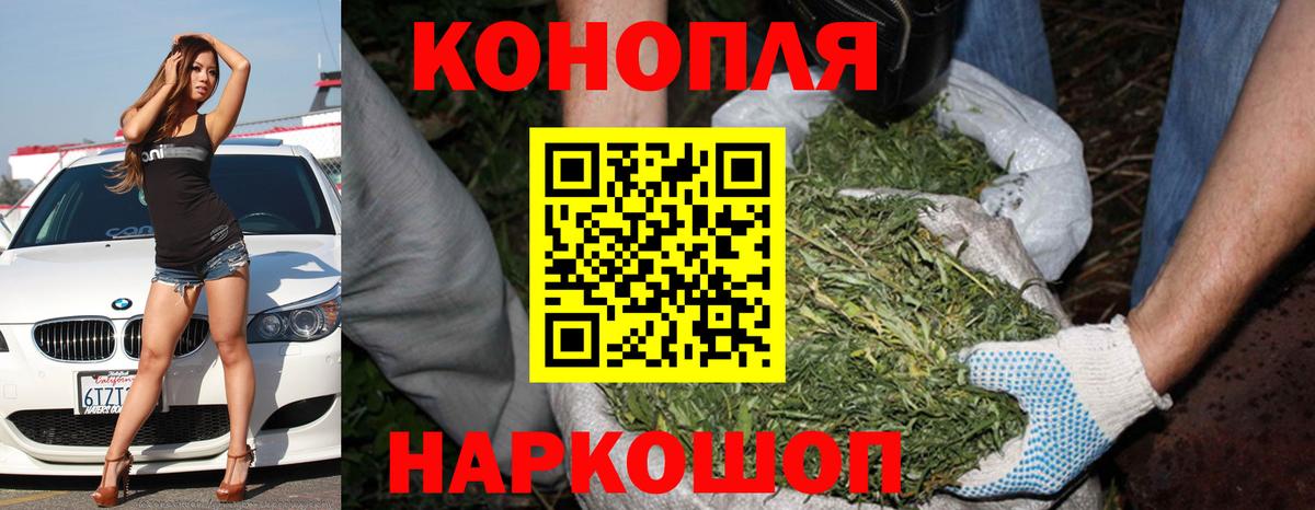 Бошки Шишки ГИДРОПОН  Вход с VPN  Канабис Ganja  Пугачёв  Канабис конопля 
